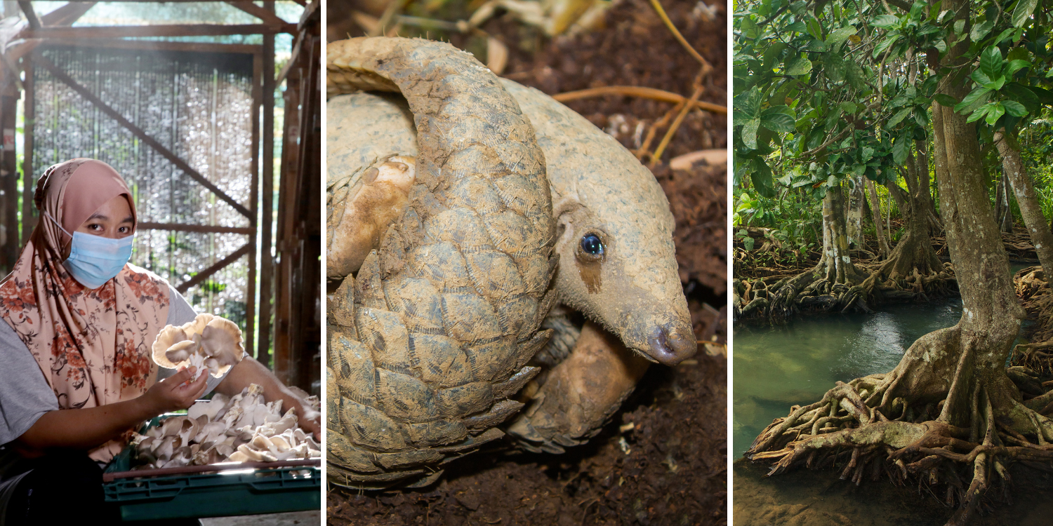 Solutions Tools Category banner